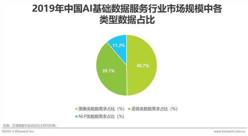 2020年中國(guó)AI基礎(chǔ)數(shù)據(jù)服務(wù)行業(yè)發(fā)展報(bào)告 數(shù)據(jù)處理服務(wù)